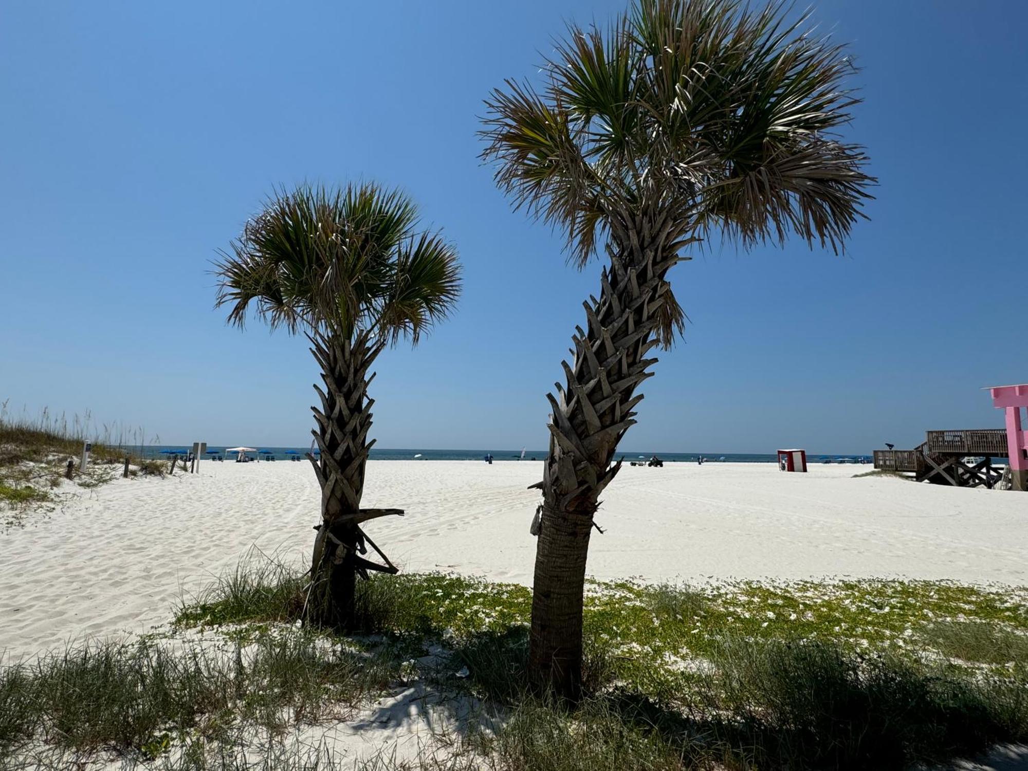 Paradise Prn Gulf Shores Exterior foto